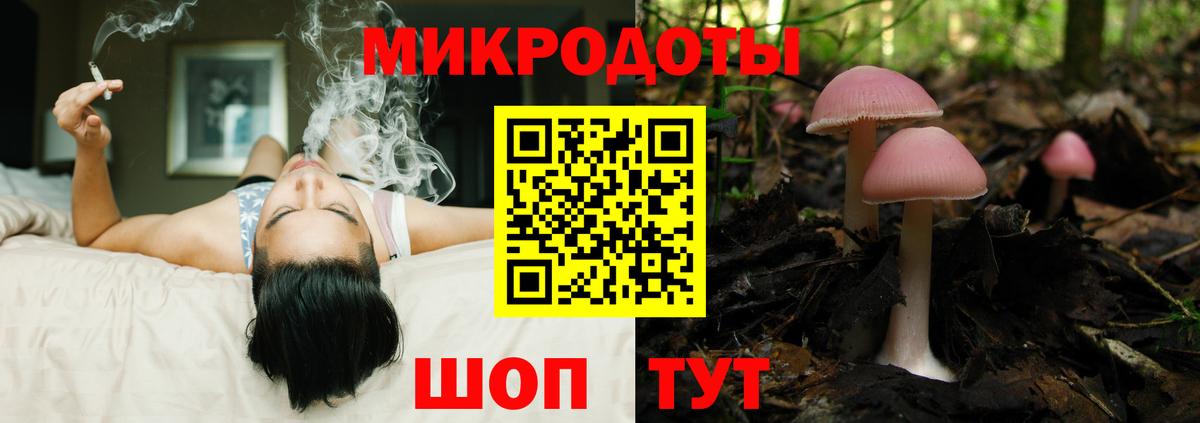 Верхняя Пышма  Псилоцибиновые грибы MAGIC MUSHROOMS  Вход с VPN 